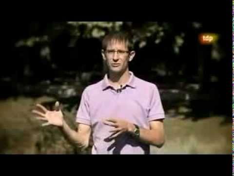 Entrevista Teledeporte: Coaching Deportivo